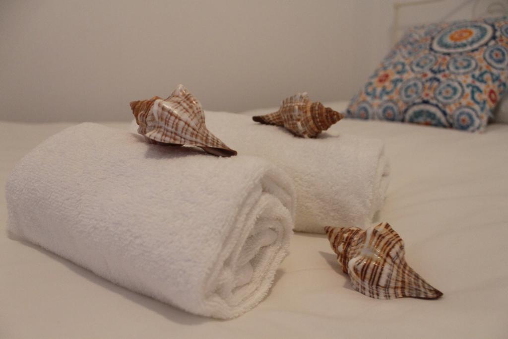 Consolacao Surf & Beach Apartment Dış mekan fotoğraf